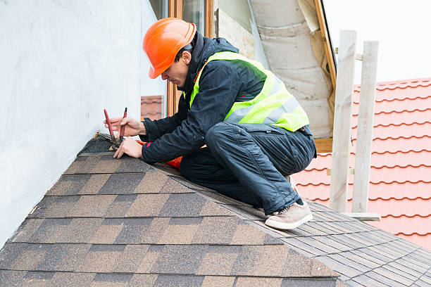 Roof Gutter Cleaning in Bull Shoals, AR